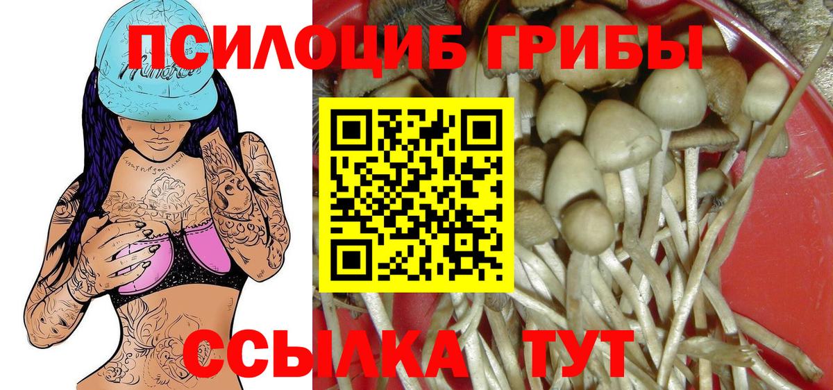 Псилоцибиновые грибы Psilocybe  Вход с VPN  где купить   Черкесск 